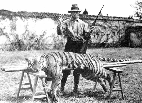 Harry Caldwells Tiger